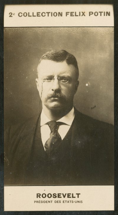 Theodore Roosevelt, Presidente dos Estados Unidos da América de European Photographer