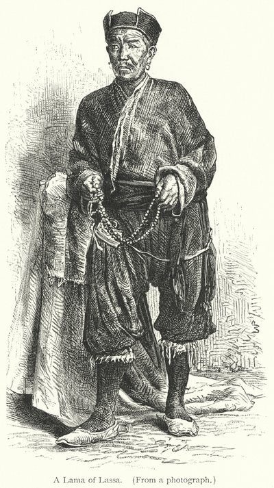 Um Lama de Lassa (gravura) de European School