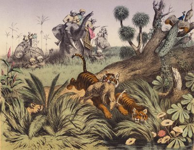 Uma caçada na selva indiana (litografia a cores) de European School