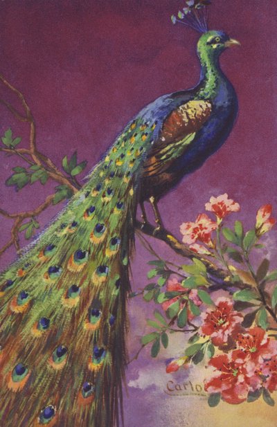 Um pavão sentado em uma árvore com flores. de European School