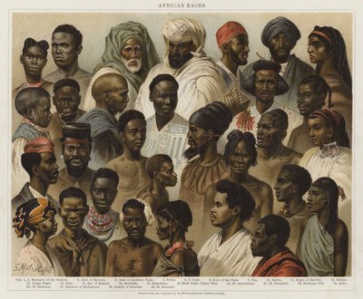 Raças Africanas de European School