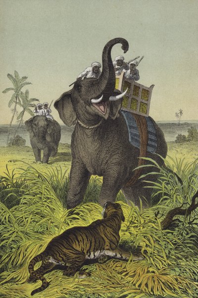Animais e plantas da Índia (cor litho) de European School