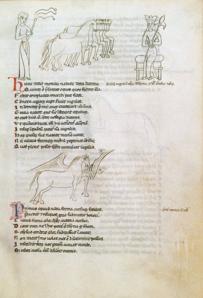 Bestiário: o cavalo (tinta aveludada) de European School