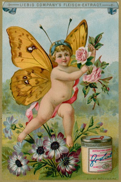 Querubim de borboleta com margaridas de European School