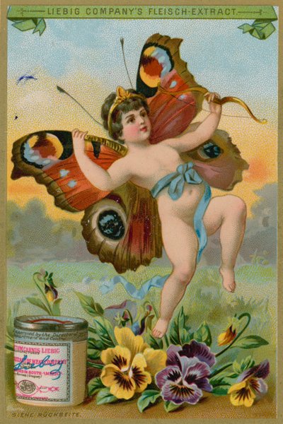 Querubim da borboleta com amores-perfeitos de European School