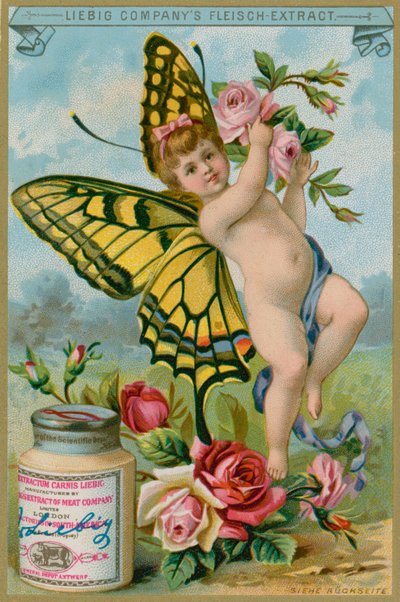Querubim de borboleta com rosas vermelhas de European School