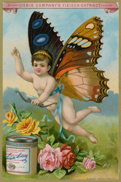Querubim de borboleta com rosas de European School