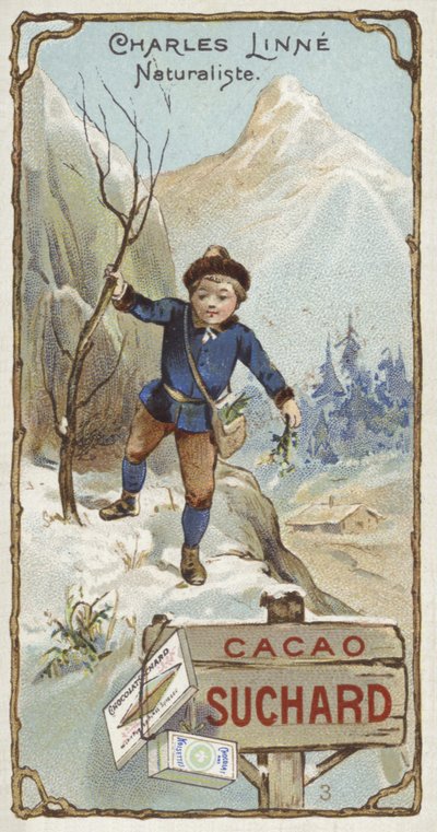 Carl Linnaeus, botânico sueco e zoólogo, quando criança de European School