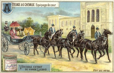 Carruagem puxada por seis cavalos de European School