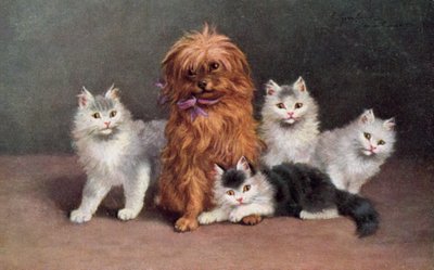 Postal de gato (litografia a cores) de European School