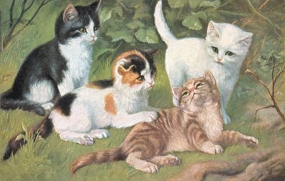 Postal de gato (litografia a cores) de European School