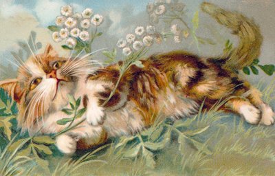 Postal de gato (litografia a cores) de European School