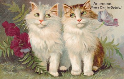Postal de gato (litografia a cores) de European School