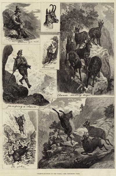 Caça à camurça no Tirol (gravura) de European School
