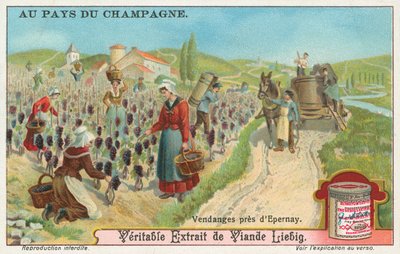 Champagne, cartão Liebig, início do século XX (cromo) de European School