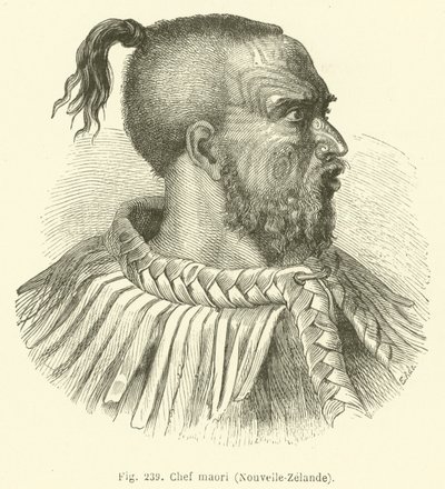 Chefe Maori, Nova Zelândia (gravura) de European School
