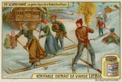 Natal, Wheatsheaf, em, trondheim de European School