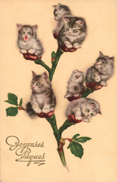 Gatos cómicos, como amentilhos (litografia a cores) de European School