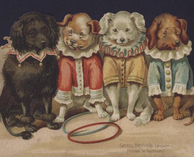 Cães Comic de European School