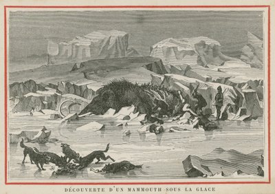 Descoberta de um mamute lanoso sob o gelo de European School