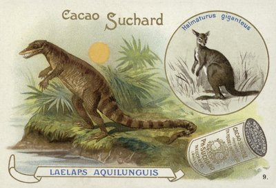 Dryptosaurus e canguru de European School
