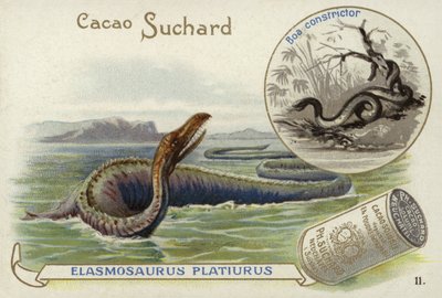 Elasmosaurus and boa constrictor  de European School