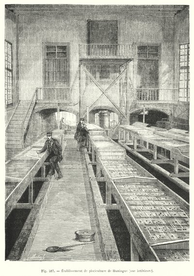 Piscicultura em Huningue, vista interior. (gravura) de European School