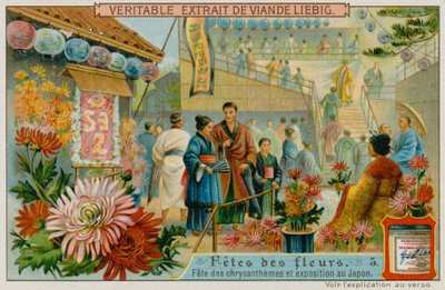Festivais dos Chrysanthamums no Japão de European School