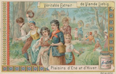 Colheita de flores de European School