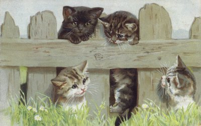 Quatro gatinhos junto a uma vedação (cromolitho) de European School