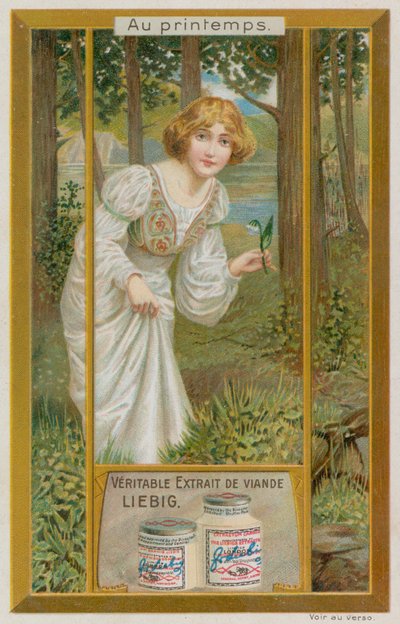 Menina com snowdrops de European School