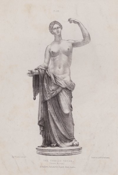 Ilustração para The Anatomy of the External Forms of Man (A anatomia das formas externas do homem): A Vénus de Townley, Museu Britânico (litografia) de European School