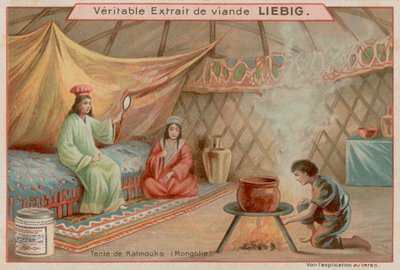 Dentro de uma tenda na Mongólia de European School