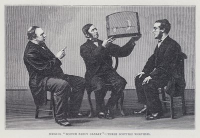 Julgando "Scotch Fancy Canary", Três Worthies Escoceses de European School