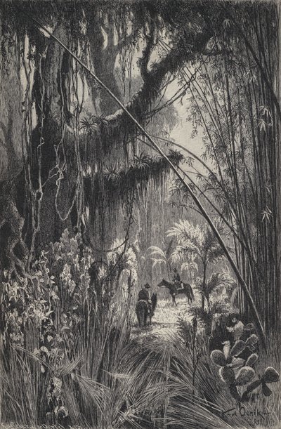 Selva na Cordilheira de Salta, noroeste da Argentina (litho) de European School