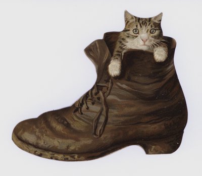 Gatinho em uma bota (cor litho) de European School