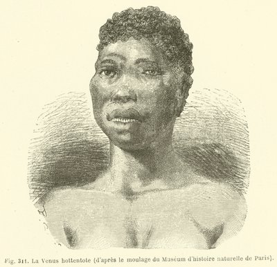 A Vénus Hottentot, do elenco do Museu de História Natural de Paris (gravura) de European School