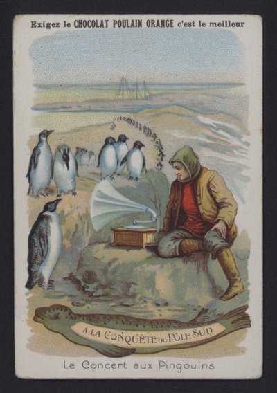 O Concerto dos Pinguins (cor litho) de European School