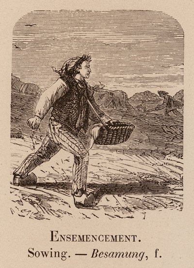 Le Vocabulaire Illustre: Ensemencement; Sowing; Besamung (gravura) de European School