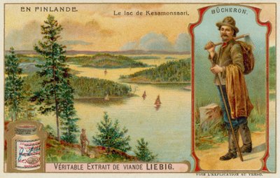 Lenhador e Lago e Florestas perto de Kesamonsaari de European School
