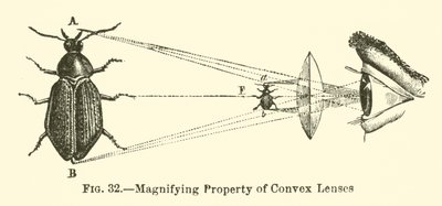 Propriedade Ampliadora de Lentes Convexas (gravura) de European School