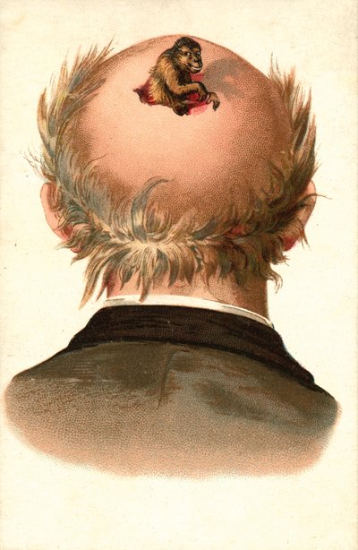 Cabeça de homem - com macaco a trepar para fora (cromolitho) de European School