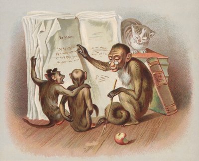 Ensino de macacos (chromolitho) de European School