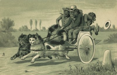 Macacos a conduzir uma carruagem puxada por dois gatos (litografia) de European School