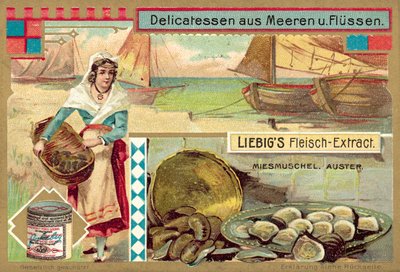Mexilhões e ostras (chromolitho) de European School