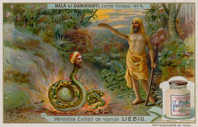 Nala salva a cobra Naga Karkotaka de European School