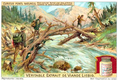 Ponte natural formada por árvores caídas e cobertas de vegetação no Canadá (chromolitho) de European School