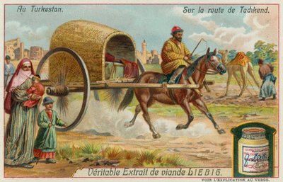 Na estrada para Tashkent no Uzbequistão de European School