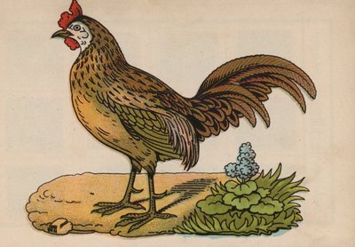Página do Livro Mágico (cor litho) de European School