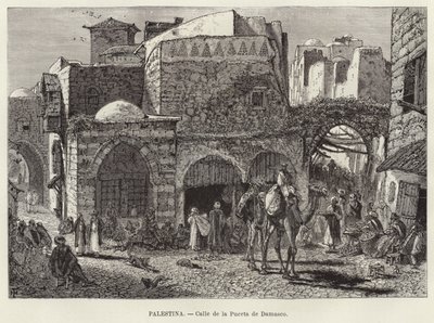 Palestina, rua do portão de Damasco de European School